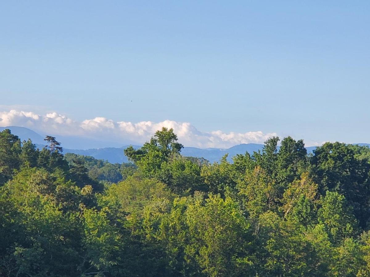 Huny Bear Lodge Pigeon Forge Exteriör bild