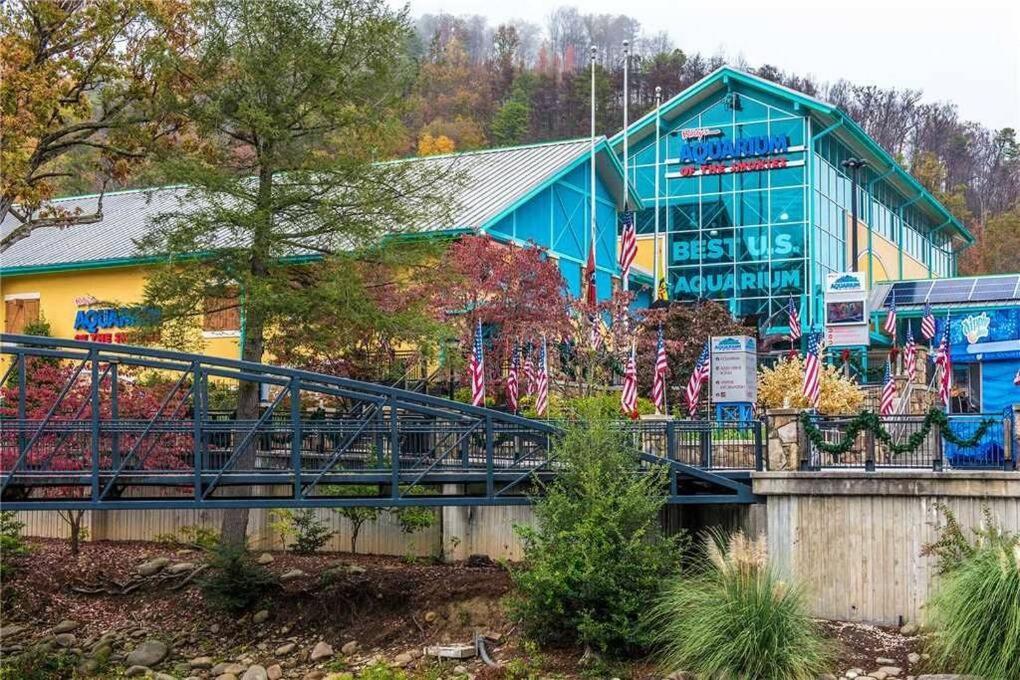 Huny Bear Lodge Pigeon Forge Exteriör bild