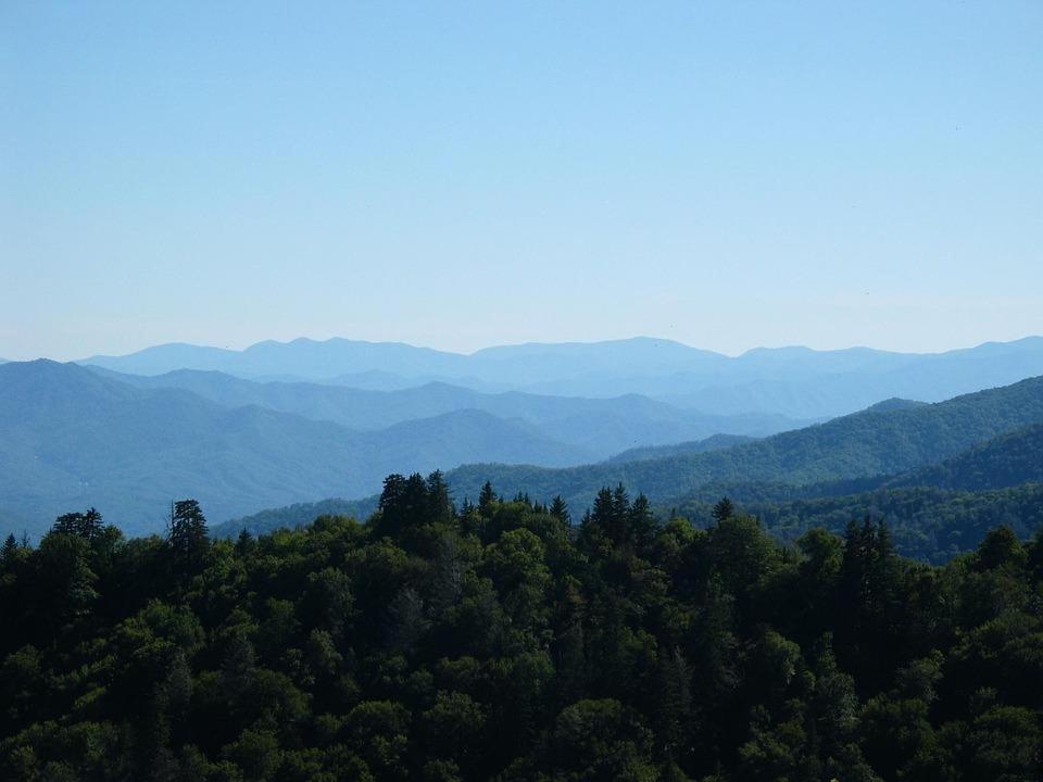 Huny Bear Lodge Pigeon Forge Exteriör bild
